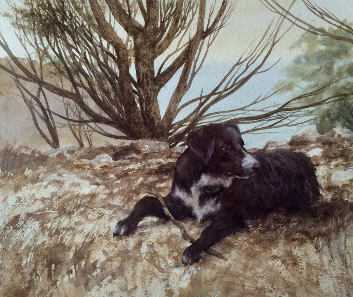 Guss, 32 x 29cm, watercolor on paper, 2016.